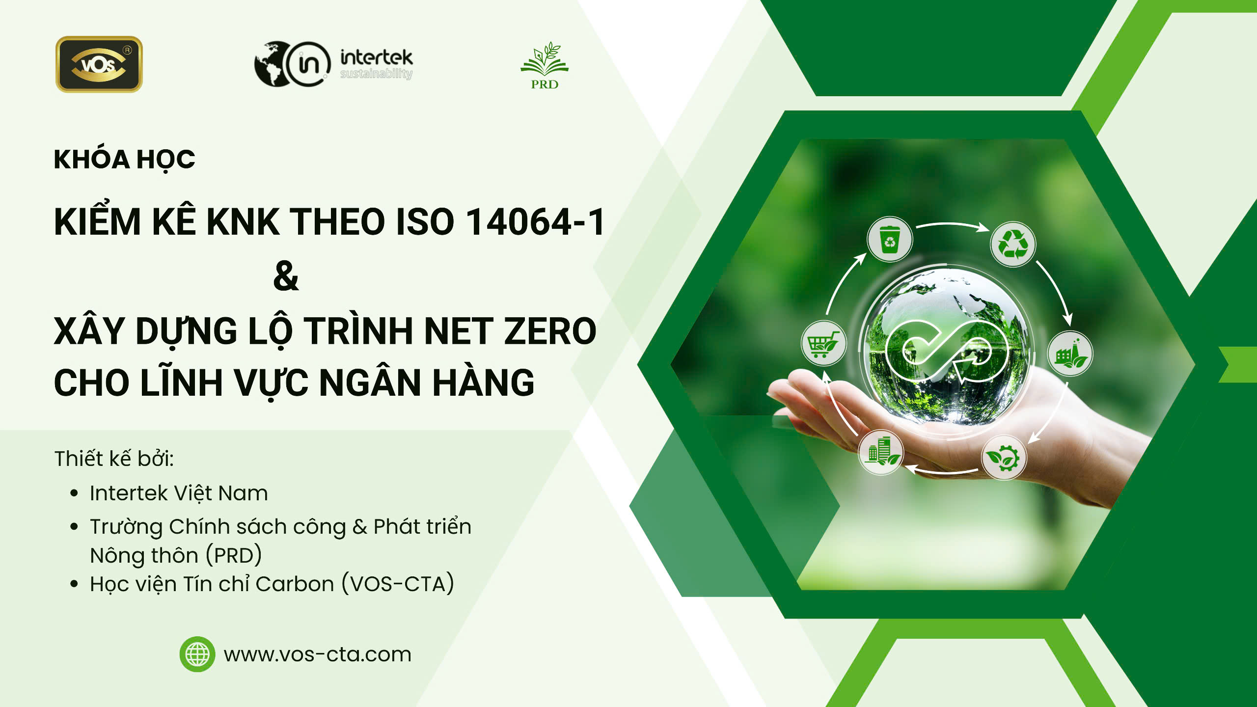 Chuyên Viên Tài Chính Xanh: Làm Chủ Lộ Trình Net Zero Và Tín Chỉ Carbon